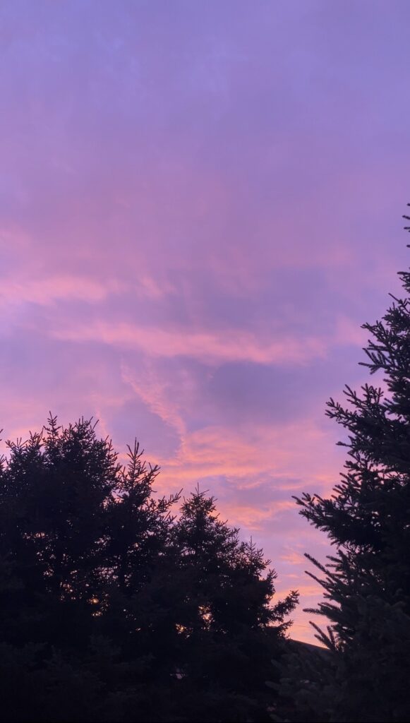 34ac27d0-5312-4bb3-9de8-d336029fa4b8